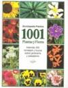 1001 Plantas y flores | 9789898144171 | AAVV