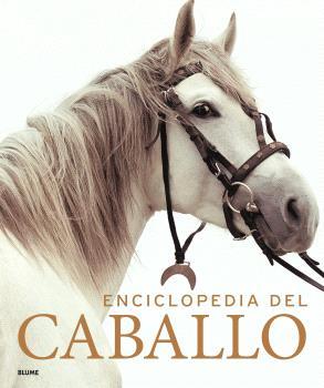 Enciclopedia del caballo (2023) | 9788419785749 | VV.AA