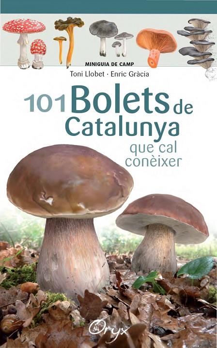 101 bolets de Catalunya | 9788490347096 | Gràcia, Enric/Llobet François, Toni