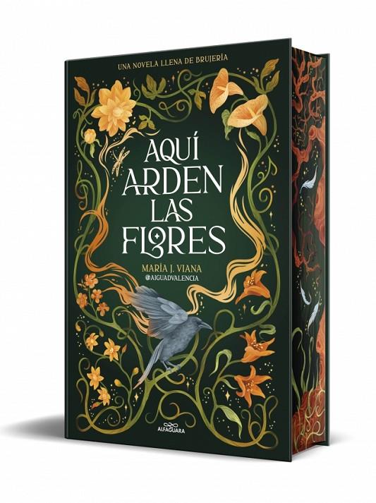 Aquí arden las flores | 9791387741662 | Viana, María J. @aiguadvalencia