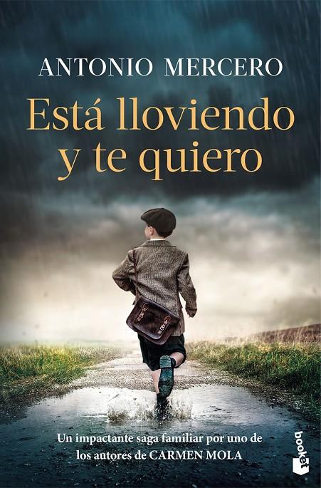 Está lloviendo y te quiero | 9788408326724 | Mercero, Antonio