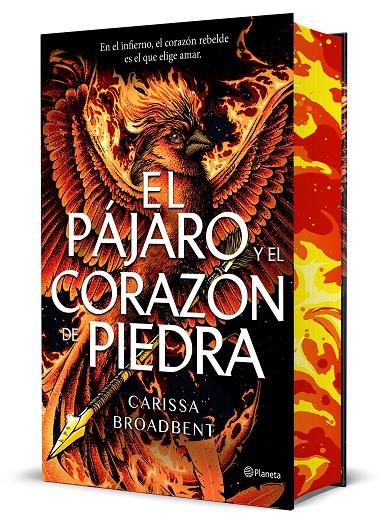El pájaro y el corazón de piedra (Edición Deluxe) | 9788408314288 | Broadbent, Carissa