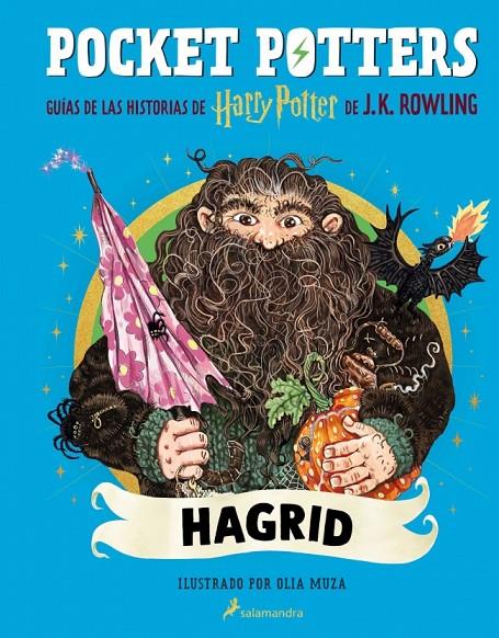 Pocket Potters - Hagrid | 9788419868862 | Rowling, J.K.