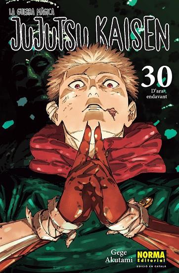 Jujutsu Kaisen 30 | 9788467976281 | Akutami, Gege