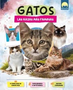 Gatos. Razas más famosas | 9791256431762 | AA.VV., AA.VV.