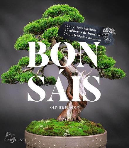 Bonsáis | 9788419436610 | Samson, Rémy/Samson, Isabelle