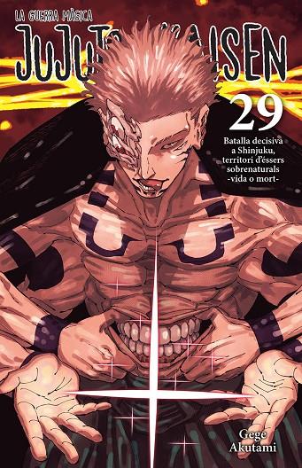 Jujutsu Kaisen 29 | 9788467976274 | Akutami, Gege