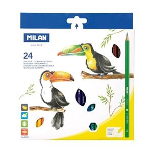 Llapis color 24c capsa cartró | 8411574800248