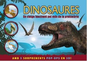 Dinosaures. Un viatge fascinant pel món de la preh | 9788479428853 | Taylor, Barbara