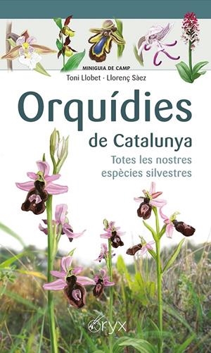 Orquídies de Catalunya | 9788413560403 | Sàez Goñalons, Llorenç/Llobet François, Toni