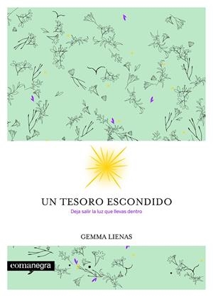 Un tesoro escondido | 9788416605354 | Gemma Lienas
