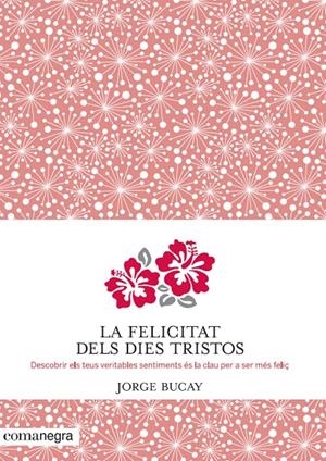 La felicitat dels dies tristos | 9788415097945 | Jorge Bucay