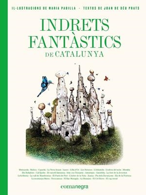 Indrets fantàstics de Catalunya | 9788417188986 | Prats Pijoan, Joan de Déu/Padilla Climent, Maria