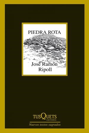 Piedra rota | 9788483834787 | José Ramón Ripoll