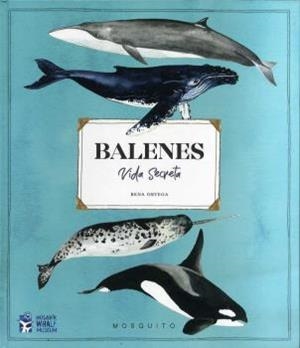 Balenes. Vida secreta | 9788412247954 | Ortega, Rena