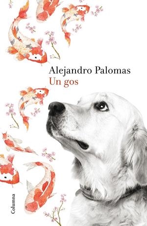 gos, Un | 9788466420426 | Alejandro Palomas
