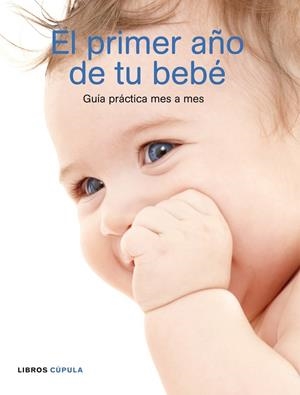 Primer año de tu bebé, El | 9788448048303 | Practical Parenting