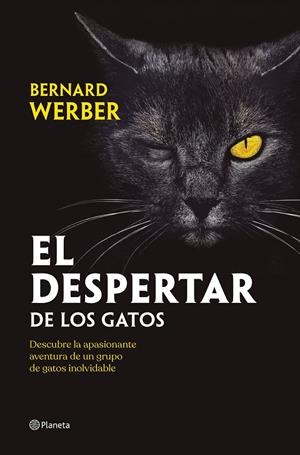 El despertar de los gatos | 9788408251835 | Werber, Bernard
