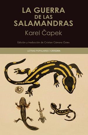 La guerra de las salamandras | 9788437646466 | Capek, Karel
