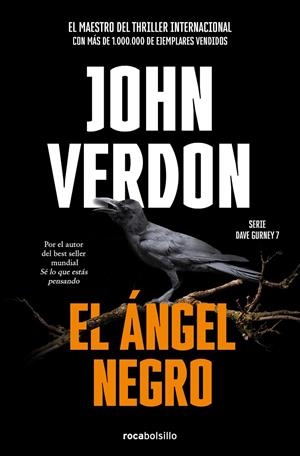 El ángel negro (Serie David Gurney 7) | 9788418850127 | Verdon, John