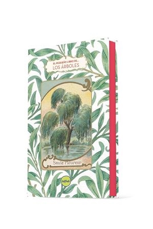 El pequeño libro de los árboles | 9788412795677 | Pen Du, Dominique