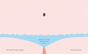 Sense calcetes al calaix | 9788416670031 | Ma Isabel Sanchez Vegara / Amaia Arrazola