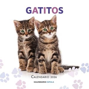 Calendario Gatitos 2026 | 9788448044909 | AA. VV.