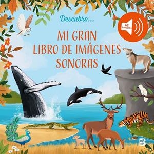 Mi gran libro de imágenes sonoras | 9789403242446 | Ballon
