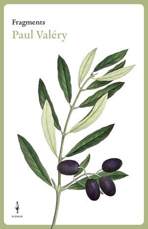 Fragments Paul Valéry | 9788409769025 | Valéry, Paul