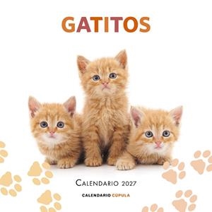 Calendario Gatitos 2027 | 9788448049300 | AA. VV.