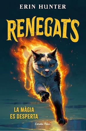 Renegats 1. La màgia es desperta | 9791387783846 | Hunter, Erin