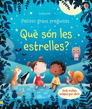 Què són les estrelles? | 9781474946841 | Daynes, Katie