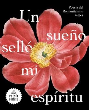 Un sueño selló mi espíritu | 9788439735328 | Varios autores,