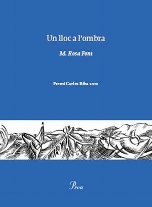Un lloc a l'ombra | 9788475882222 | M. Rosa Font