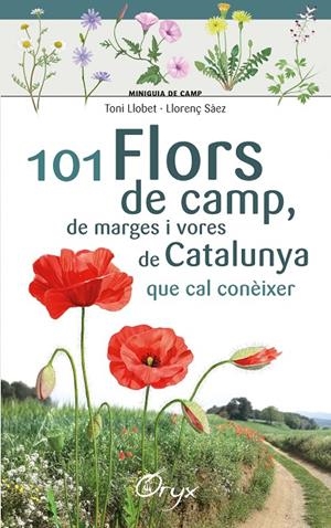 101 flors de camp, de marges i vores de Catalunya | 9788490348413 | Llobet François , Toni/Sàez Goñalons , Llorenç