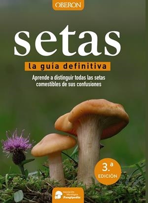 Setas | 9788441537842 | Calvo Pérez, Aitor/Calvo Pérez, Javier/Román Echevarría, Juan Andrés/Ibarretxe Iragorri, Ricardo